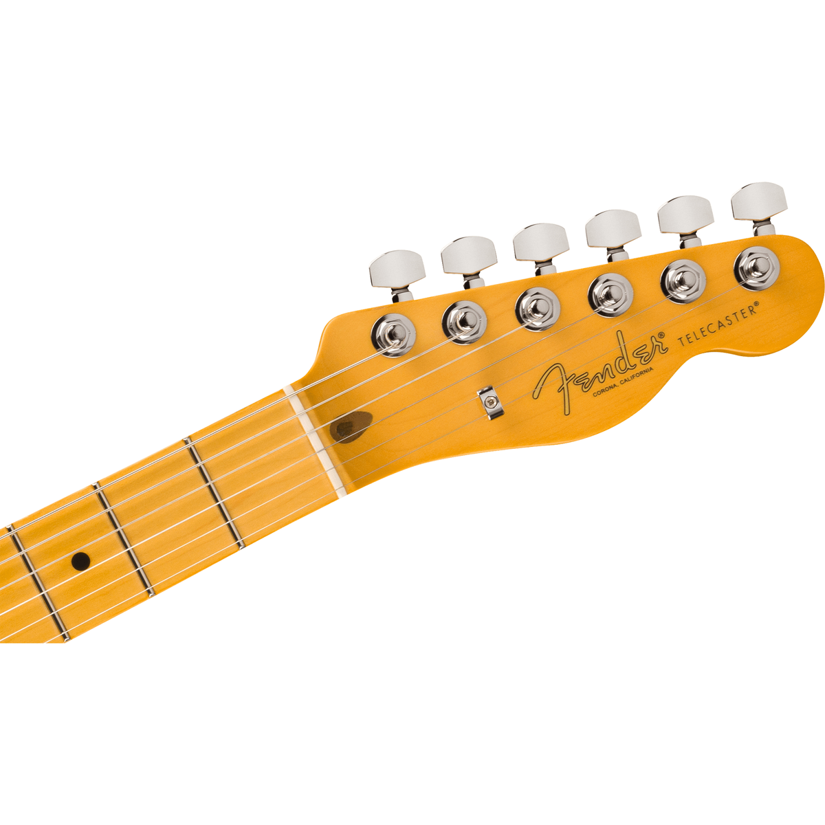 Fender American Professional II Telecaster Thinline - Transparent Shell Pink - View 3 | MusicMarket