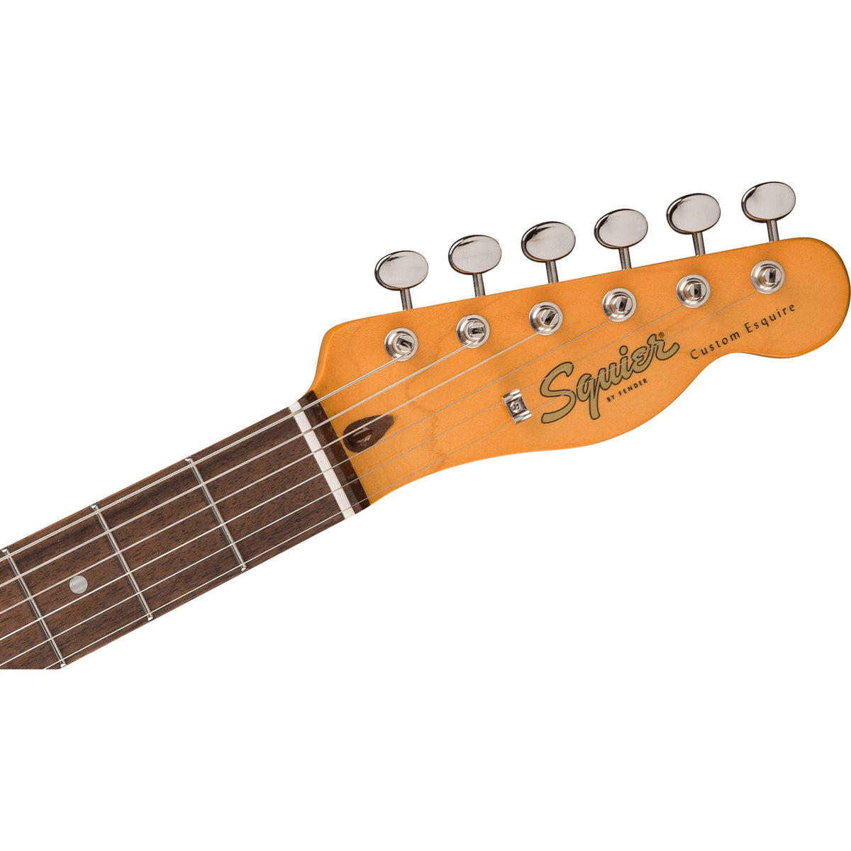 Squier Classic Vibe Custom Esquire - Laurel Fingerboard, Sherwood Green - View 4 | MusicMarket