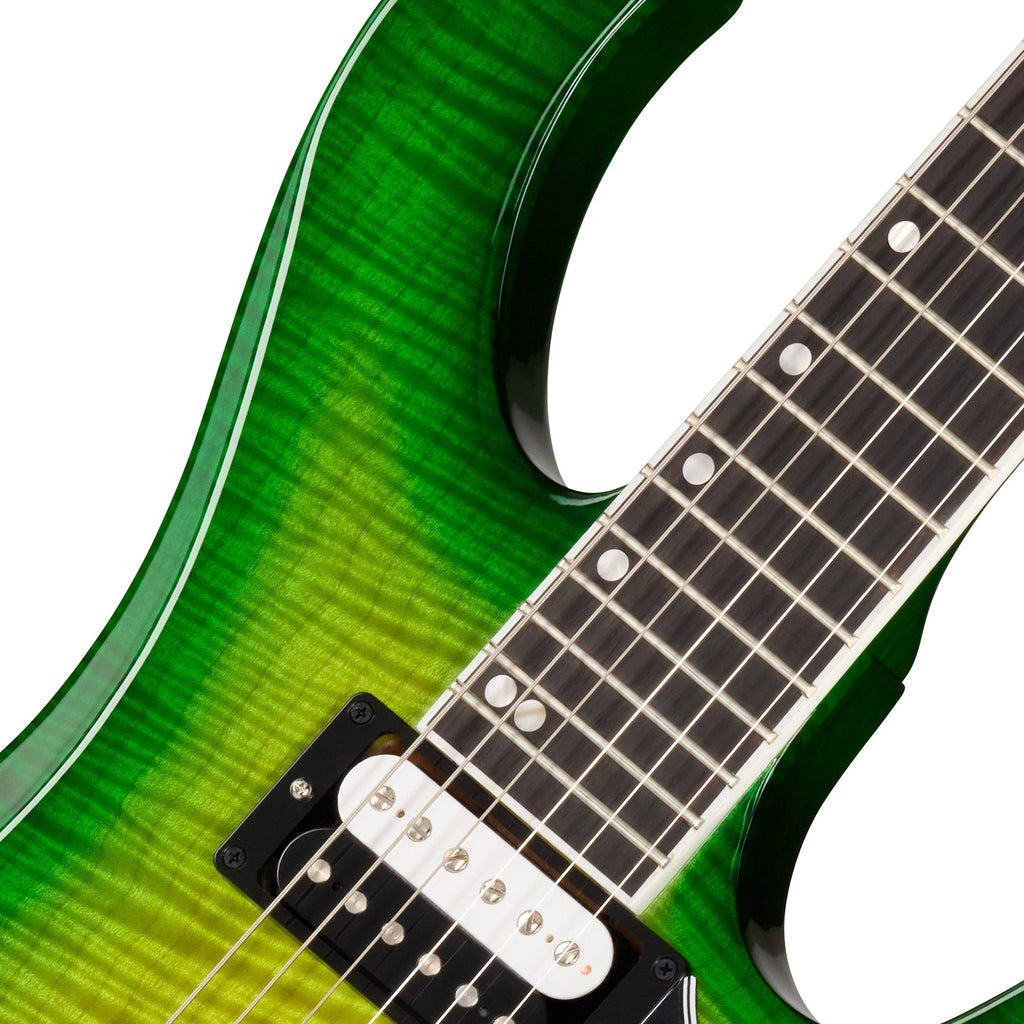 Flyd Rose Gibson USA Victory Floyd Rose Electric Guitar - Iguana Burst – Musicmarket