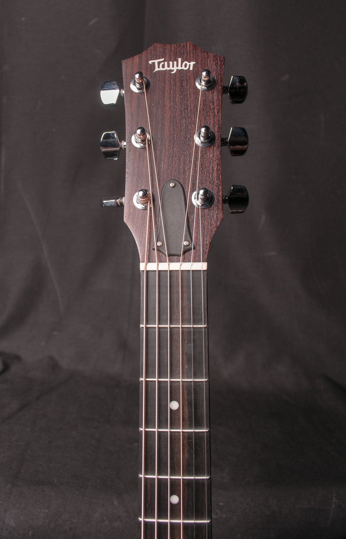 Taylor 214CE Grand Auditorium Acoustic Electric Cutaway with Gig Bag - View 12 | MusicMarket