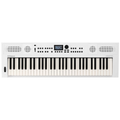 Roland GO:KEYS 5 Music Creation Keyboard - Mint, Open Box - MusicMarket