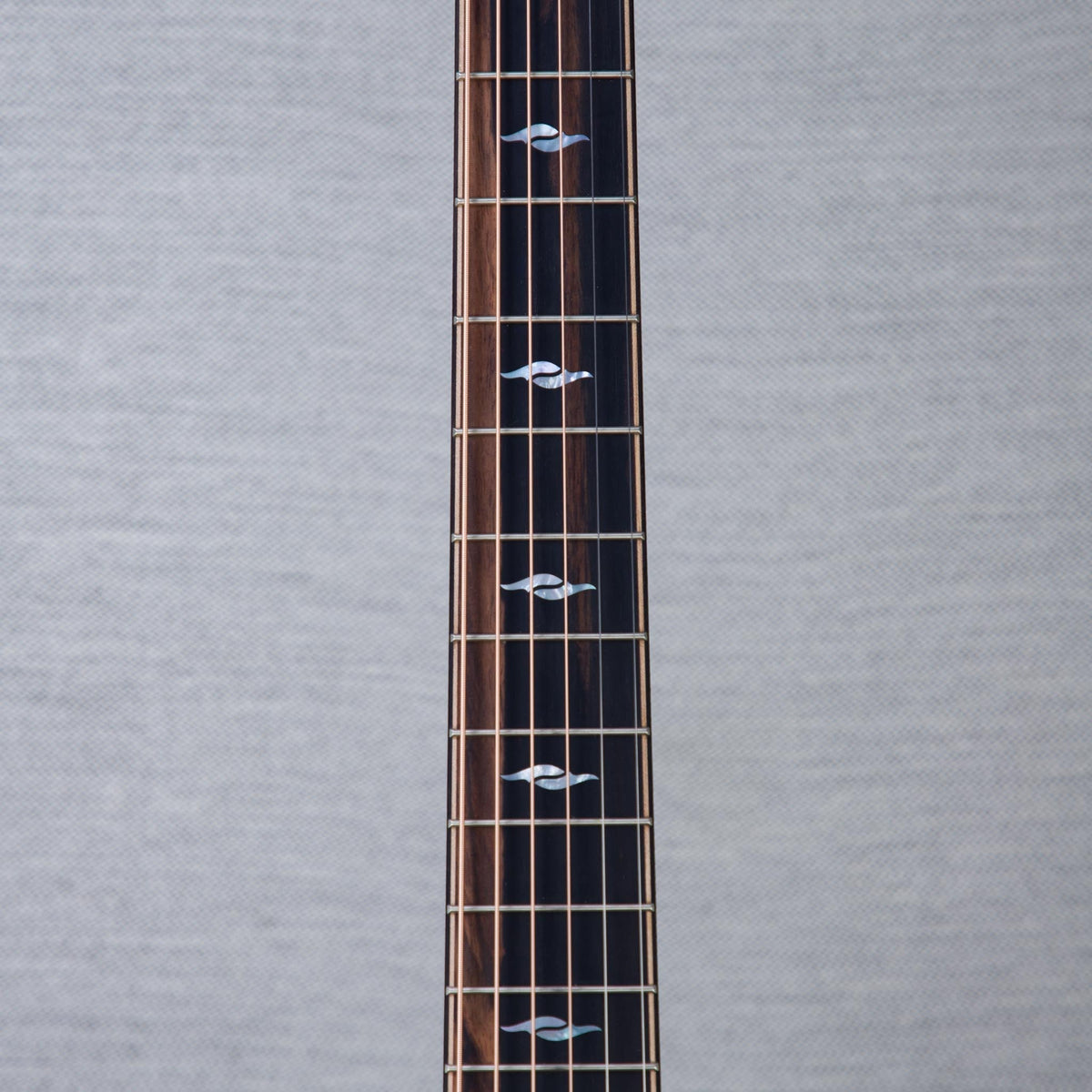 Taylor Limited Edition 814ce Cocobolo/Spruce Acoustic Electric Guitar - #1201196089 - View 4 | MusicMarket