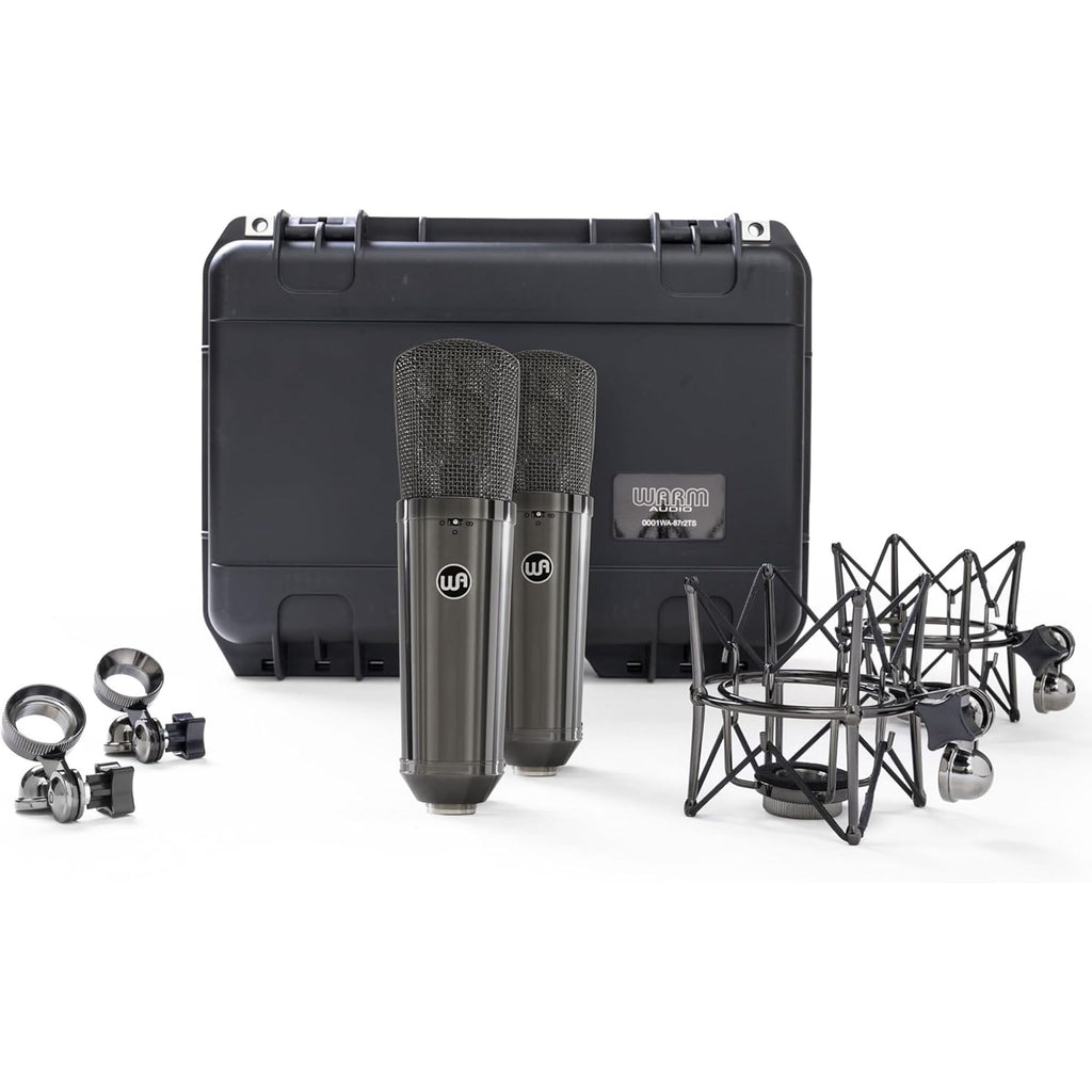 Warm Audio WA-87 R2 TS Stereo Pair - Limited Edition Titanium - View 3 | MusicMarket