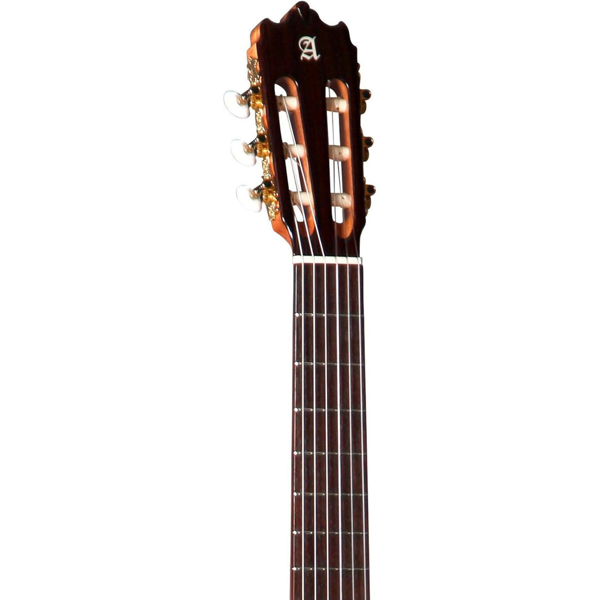 Alhambra 4Z Classical Guitar with Solid Cedar Top Zircote Back and Sides - View 4 | MusicMarket