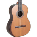 Manuel Rodriguez Magistral F-C Palisander Acoustic Guitar - Solid Cedar Top - MusicMarket