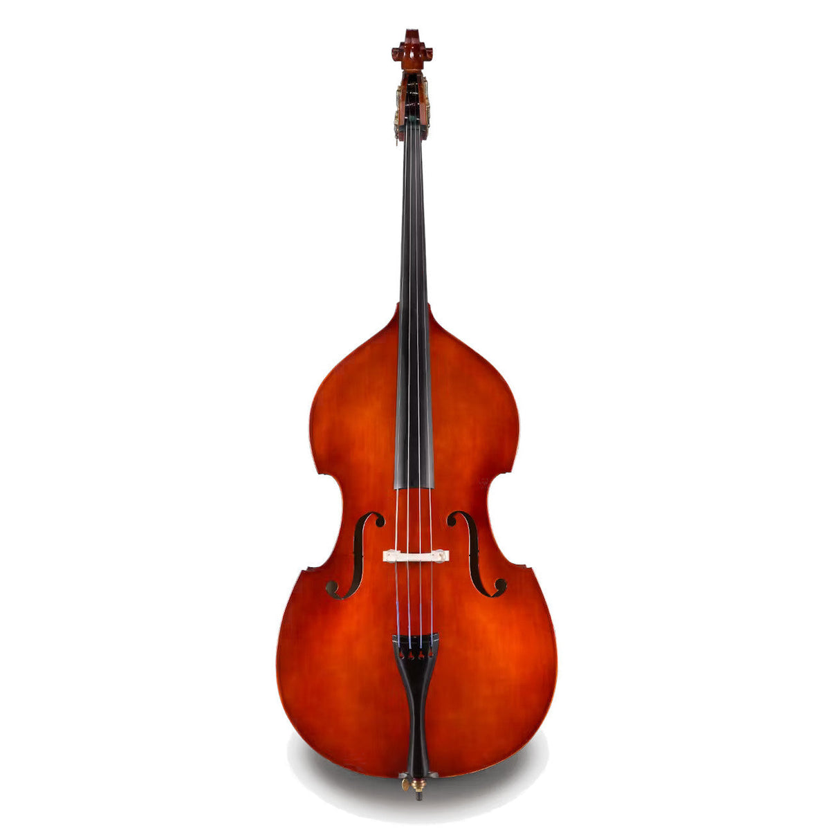 Eastman Strings Model 80 Student Double Bass Outfit - 1/2 Size - MusicMarket