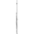 Azumi AZ1SRBEO Flute - MusicMarket