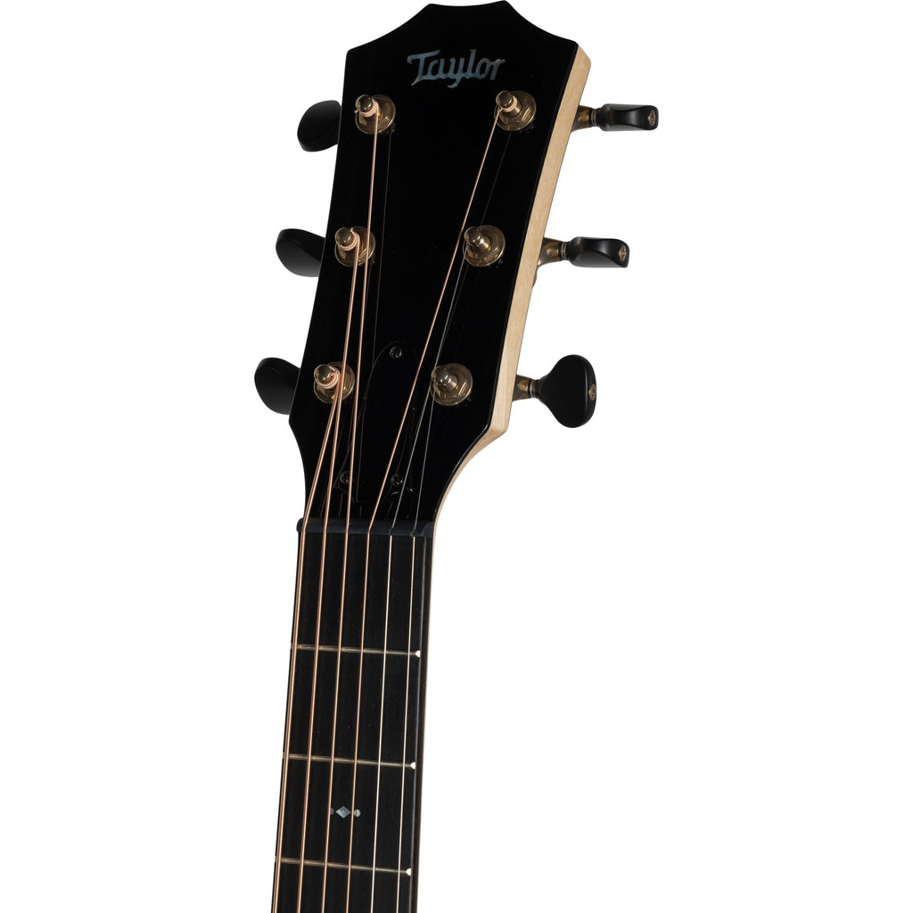 Taylor C412ce B4007 2024 NAMM Custom Acoustic Electric Guitar, Natural - View 9 | MusicMarket