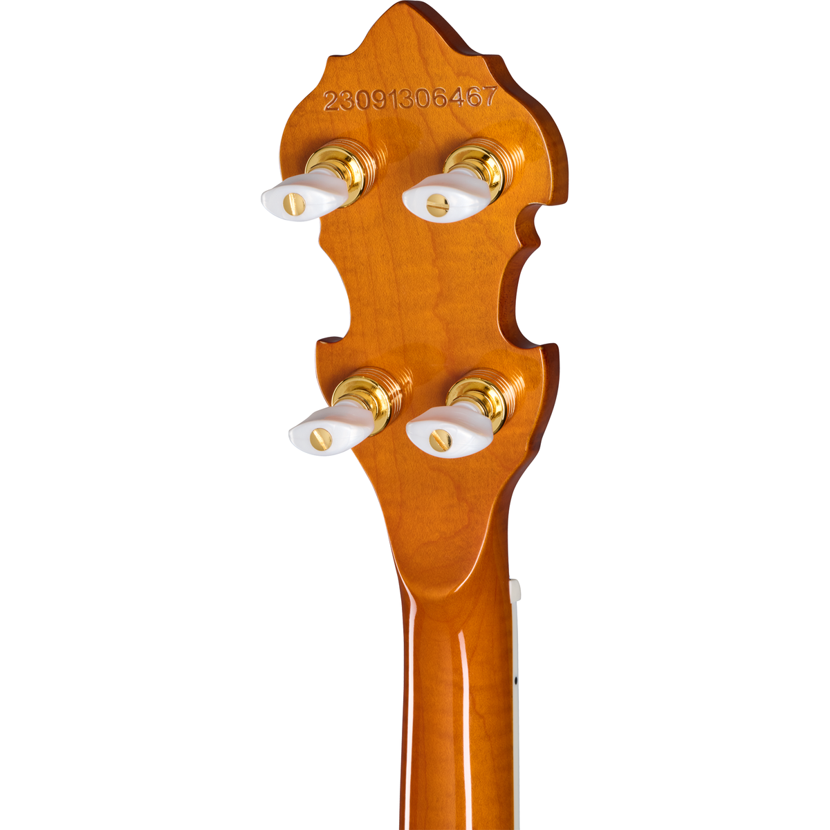 Epiphone Earl Scruggs Golden Deluxe Banjo - Vintage Sunburst - View 6 | MusicMarket