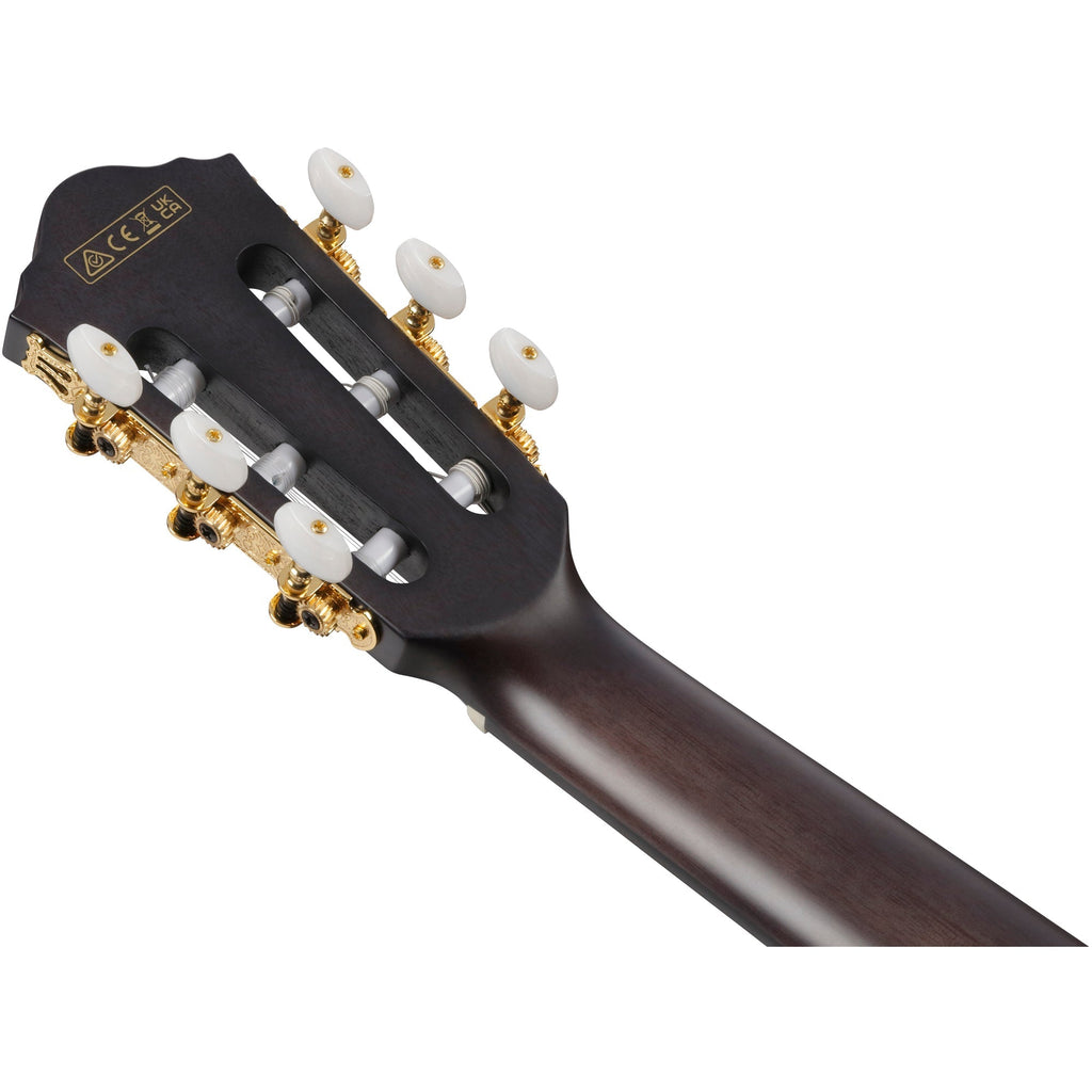 Ibanez FRH20FMN Acoustic Electric Guitar - Dark Emerald Burst - View 6 | MusicMarket
