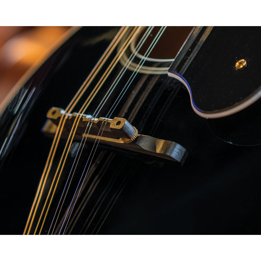 Washburn Americana M1S A Style Mandolin - Solid Top Black - View 8 | MusicMarket