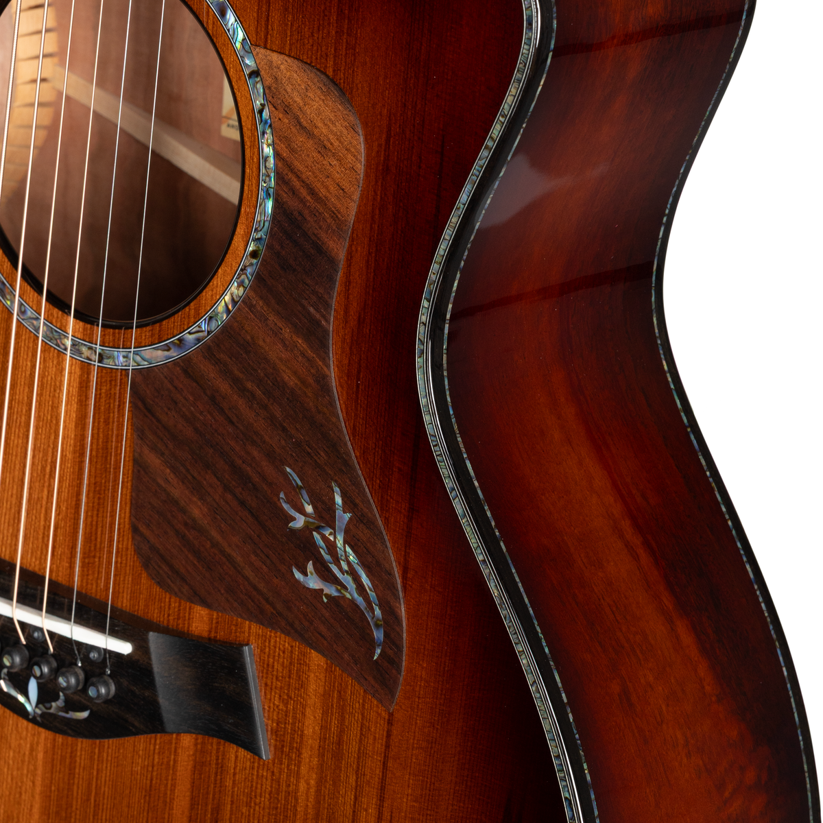 Taylor PS14ce Ironbark/Sinker Redwood Acoustic Electric Guitar - Shaded Edgeburst - View 9 | MusicMarket