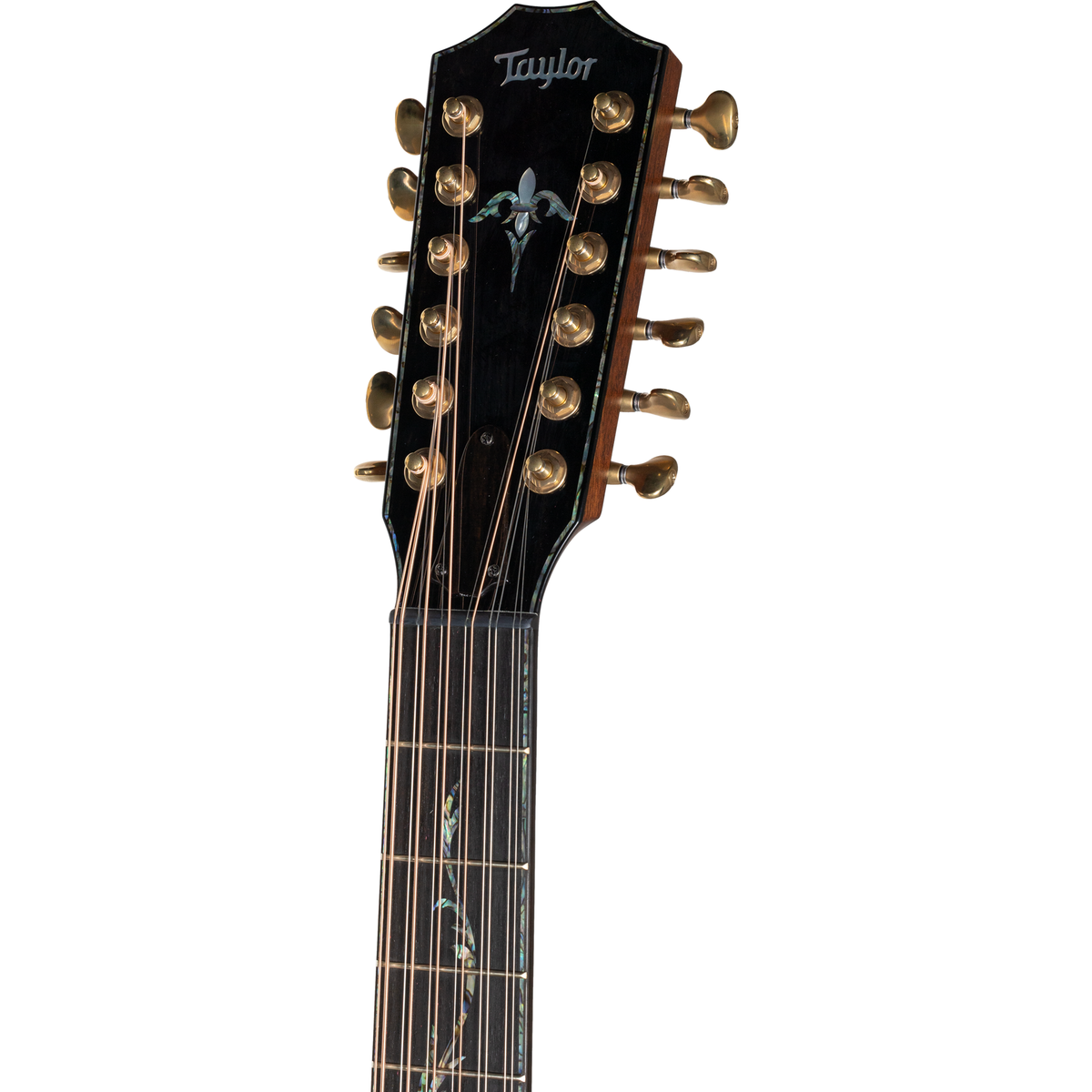 Taylor PS54ce 12-String Acoustic Electric Guitar - Natural - View 7 | MusicMarket