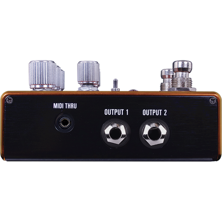 Source Audio Pathways Reverb & Tremolo Pedal - View 2 | MusicMarket