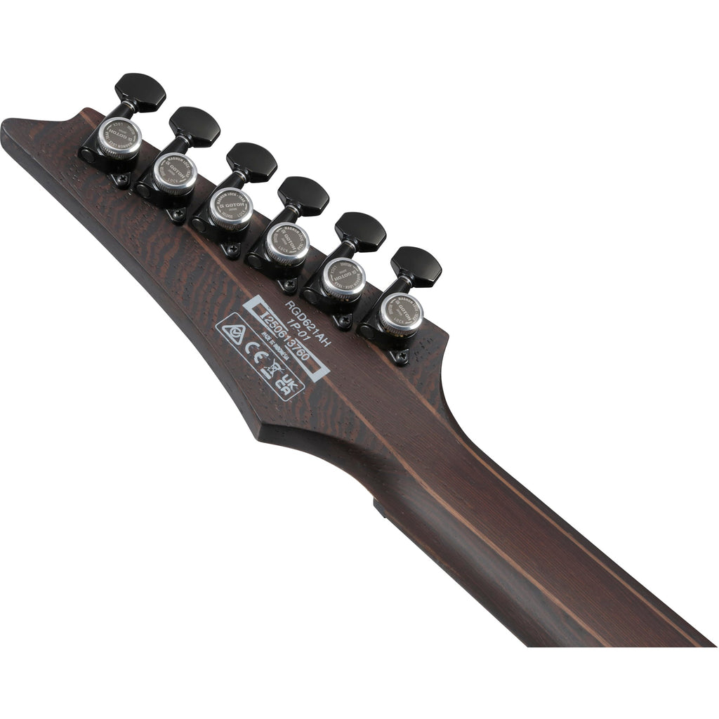 Ibanez RGD621AH RGD 6-String Electric Guitar - Midnight Shade Flat - View 8 | MusicMarket