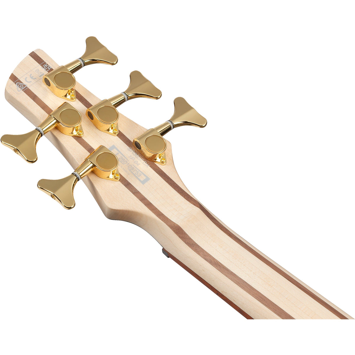 Ibanez SR305EDX SR Standard 5-String Electric Bass - Frozen Gold Matte - View 8 | MusicMarket