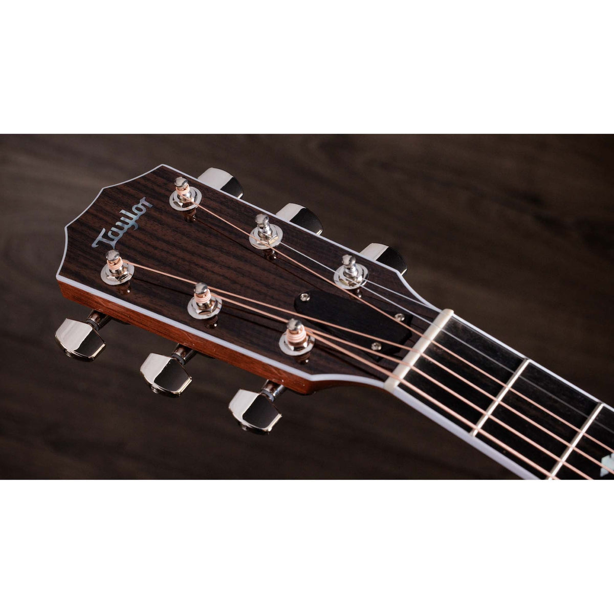 Taylor Legacy 815e Jumbo Acoustic Electric Guitar - View 4 | MusicMarket