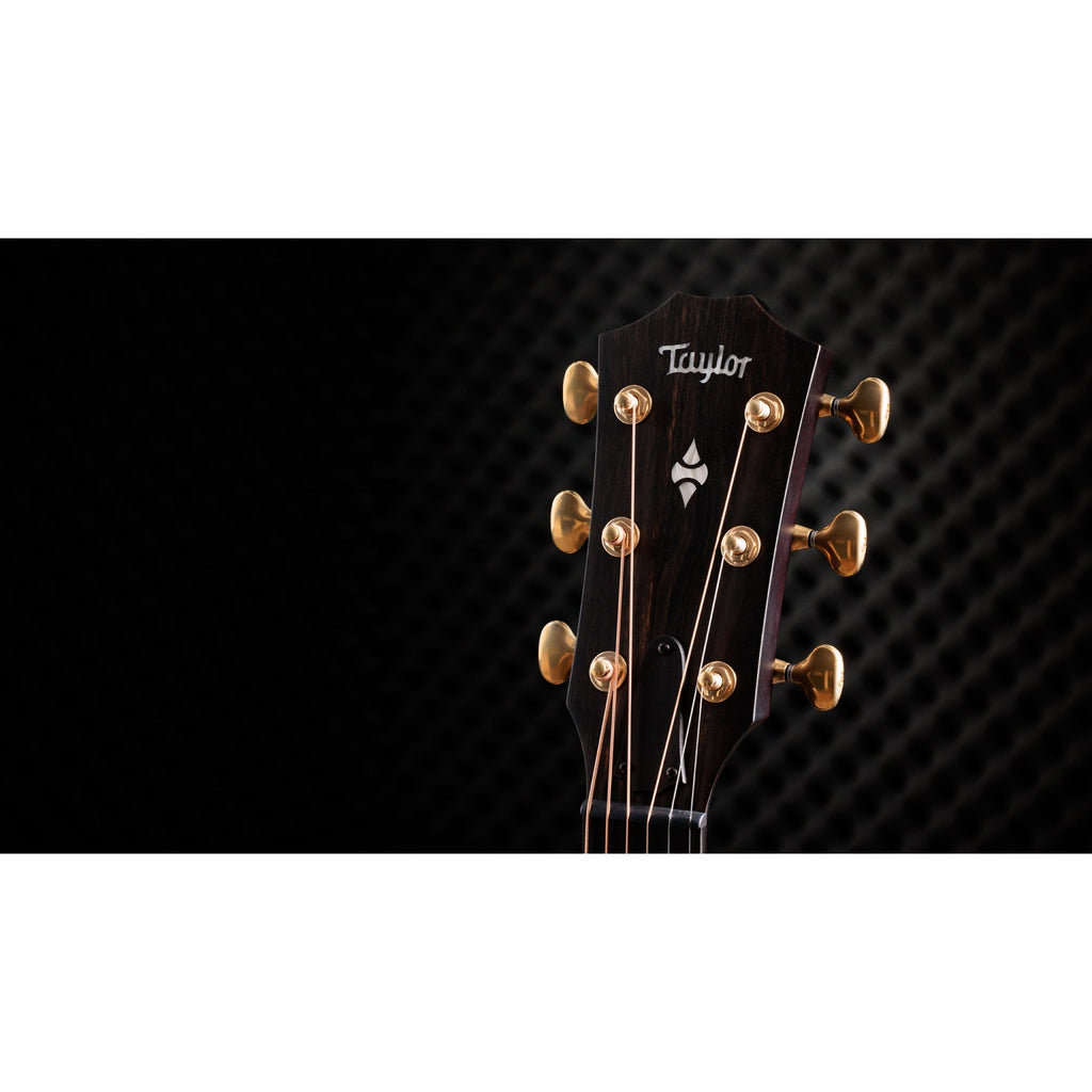 Taylor 50th Builder's Edition 314ce LTD Acoustic Electric Guitar - Natural - View 4 | MusicMarket