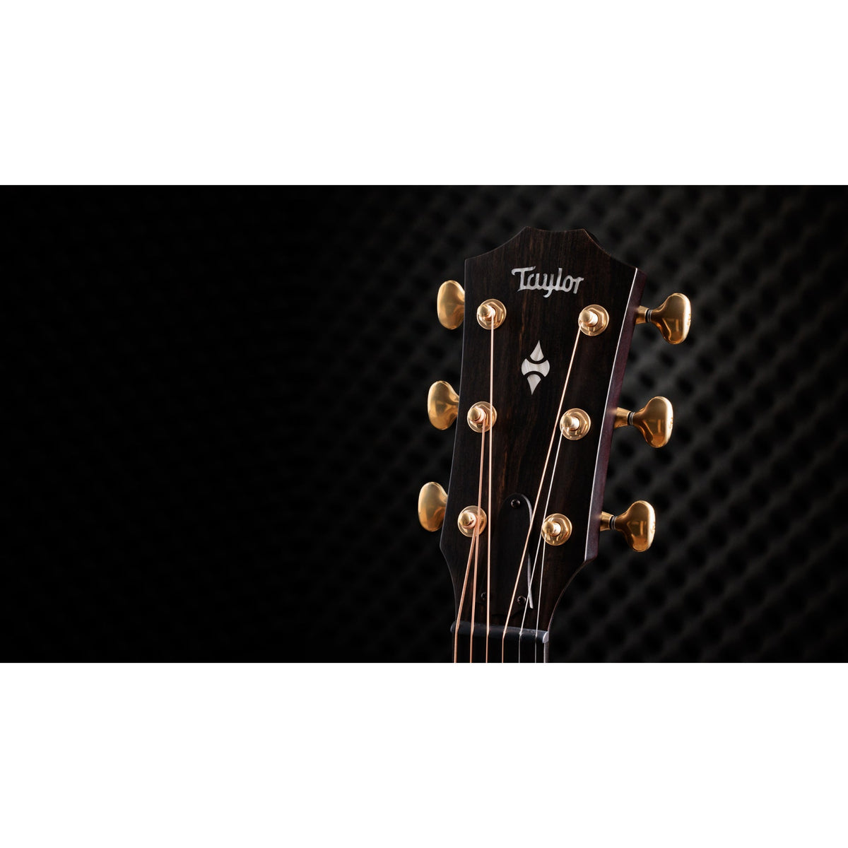 Taylor 50th Builder's Edition 314ce LTD Acoustic Electric Guitar - Natural - View 4 | MusicMarket