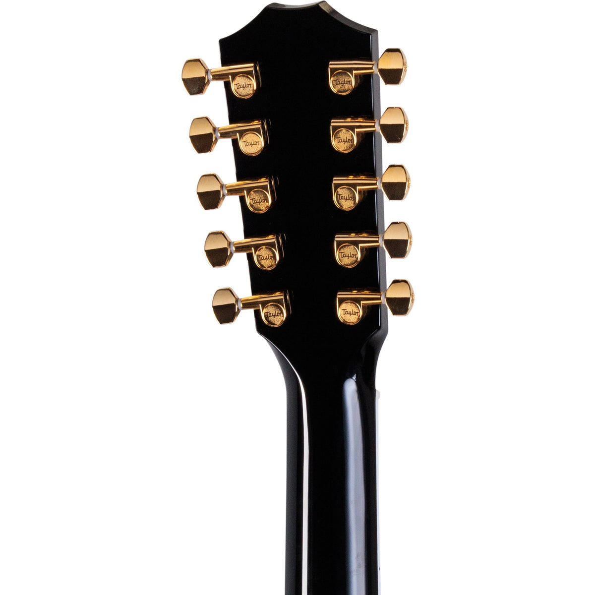 Taylor Somos 657ce Acoustic Electric 10-String Bajo Quinto - Black - View 8 | MusicMarket