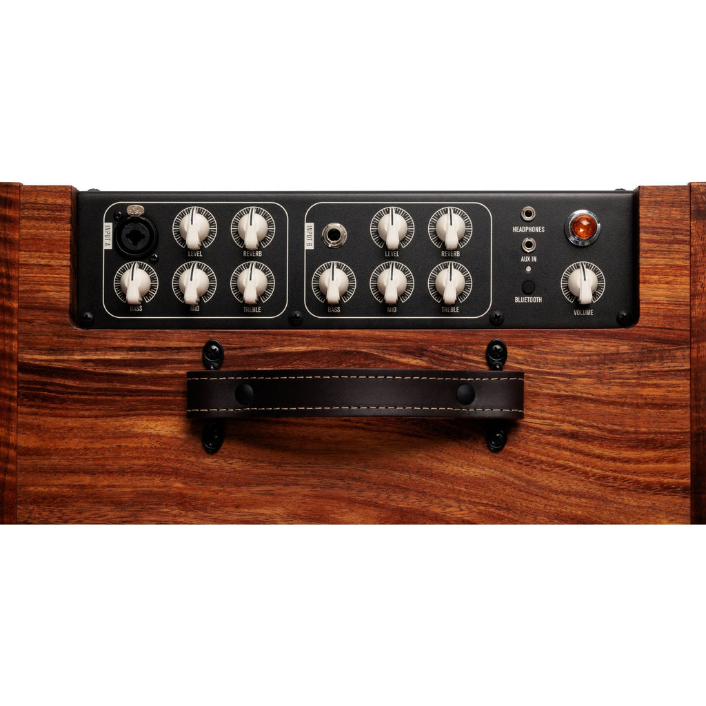 Taylor Circa 1974 Acoustic/Vocal Amp - Koa - View 7 | MusicMarket