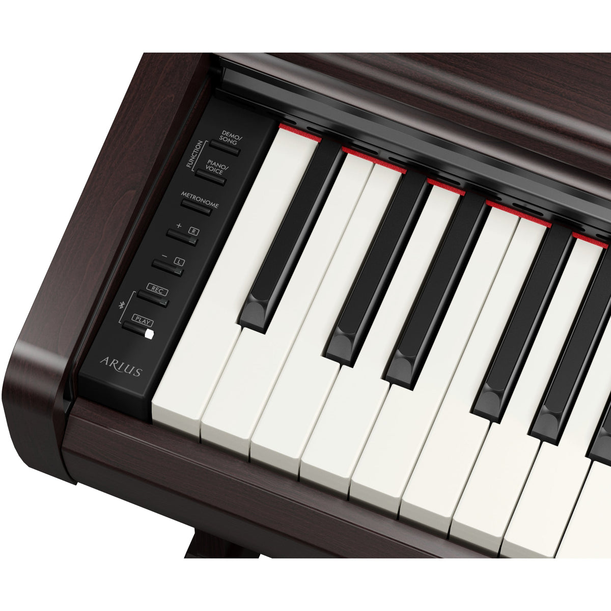 Yamaha YDP-146 Arius Upright Digital Piano - Rosewood - View 5 | MusicMarket