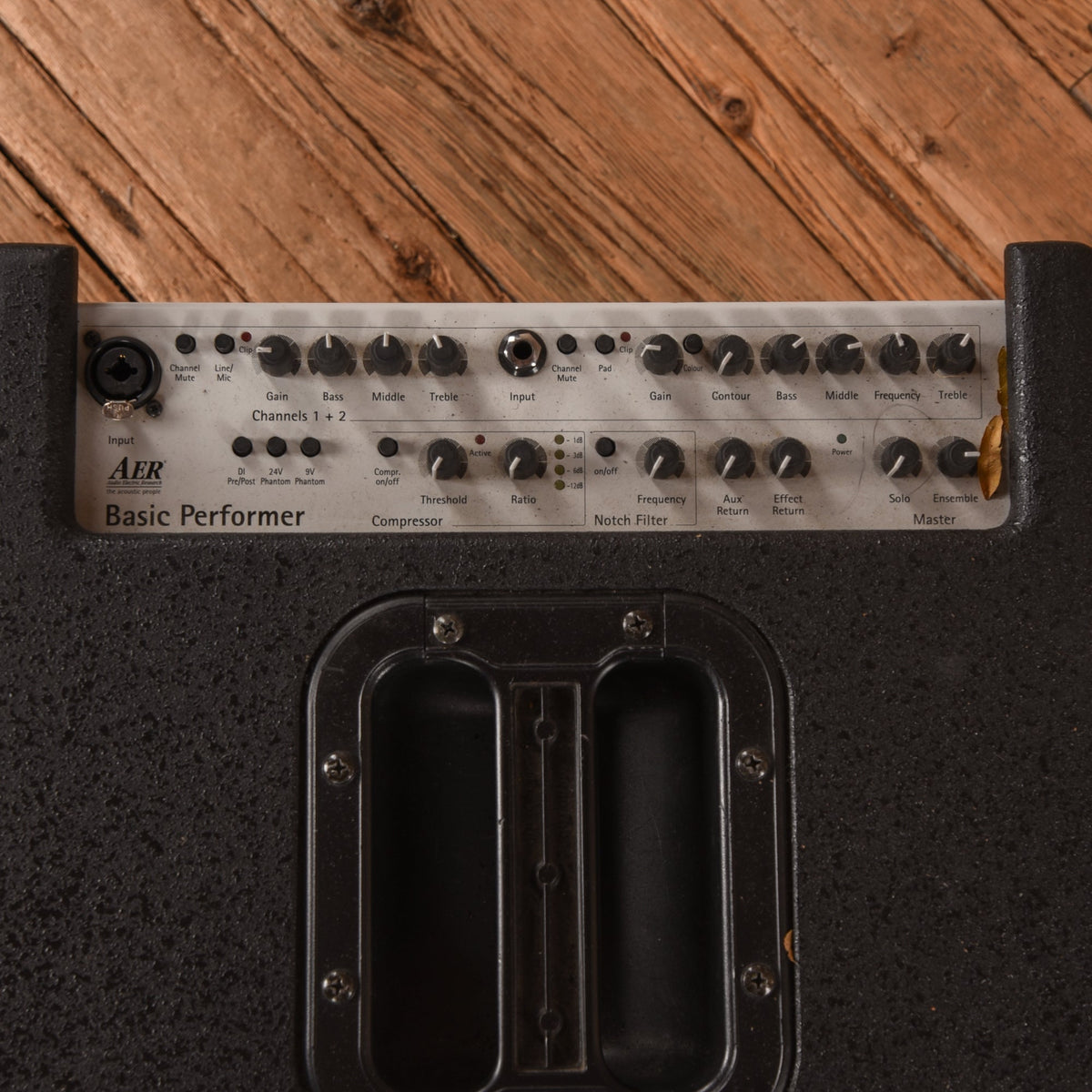 AER Basic Performer Bass Combo - Angle 3 | MUSICTONER