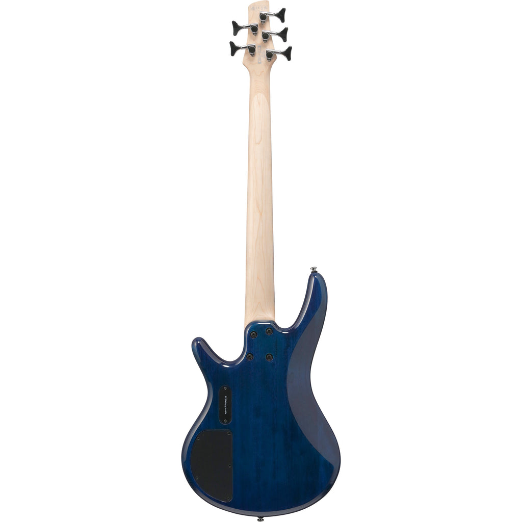 Ibanez Gio GSR205 5-String Electric Bass Guitar - Blue Moon Burst ...