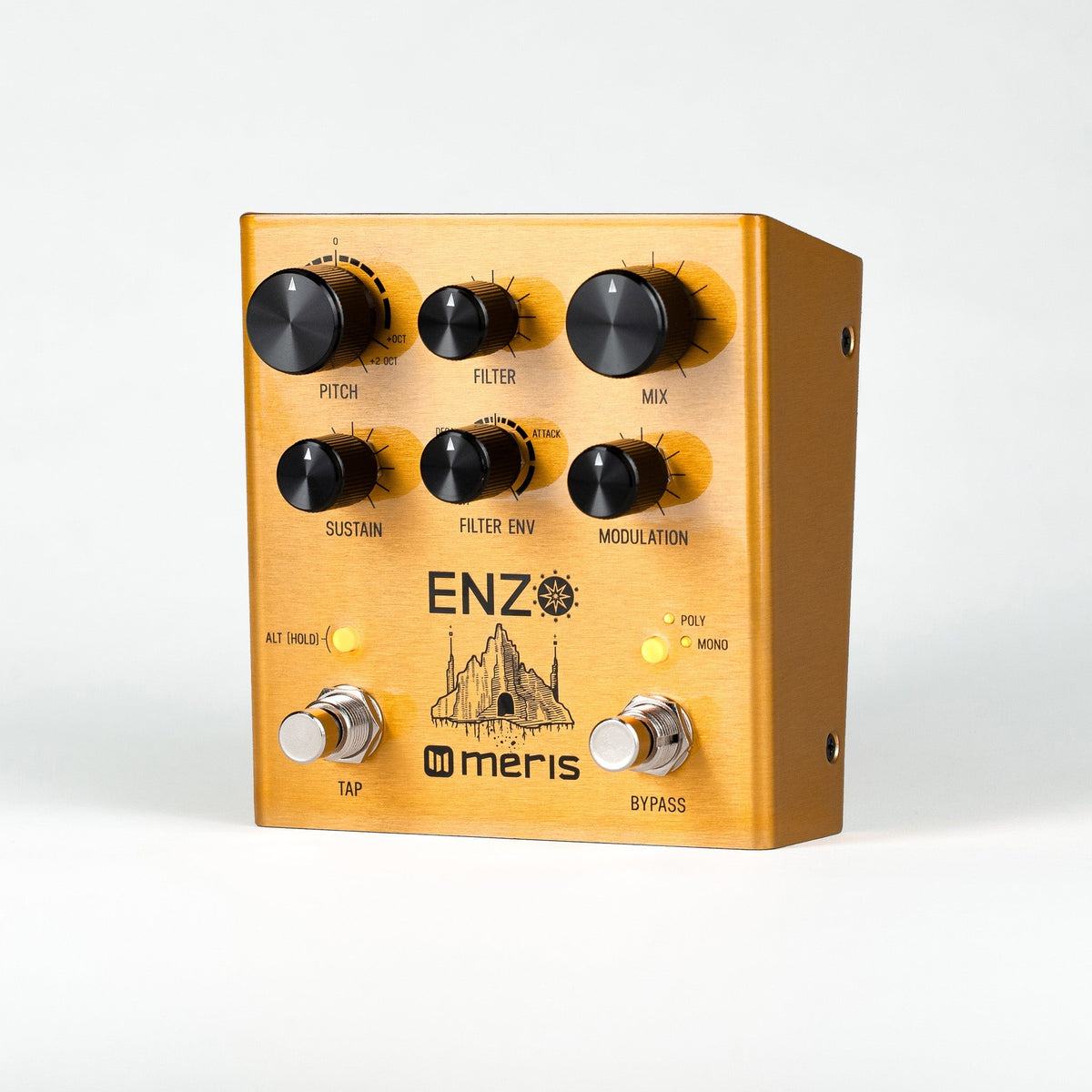 Meris Enzo Multi-Voice Instrument Synthesizer Pedal - Open Box, Mint - View 4 | MusicMarket