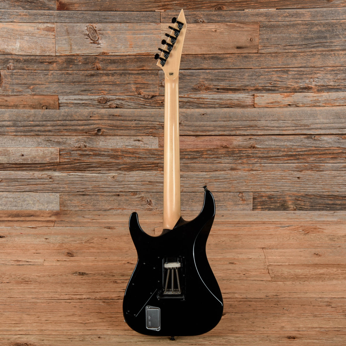 ESP Custom Shop M-II Custom Airbrush Artwork - Angle 5 | MUSICTONER