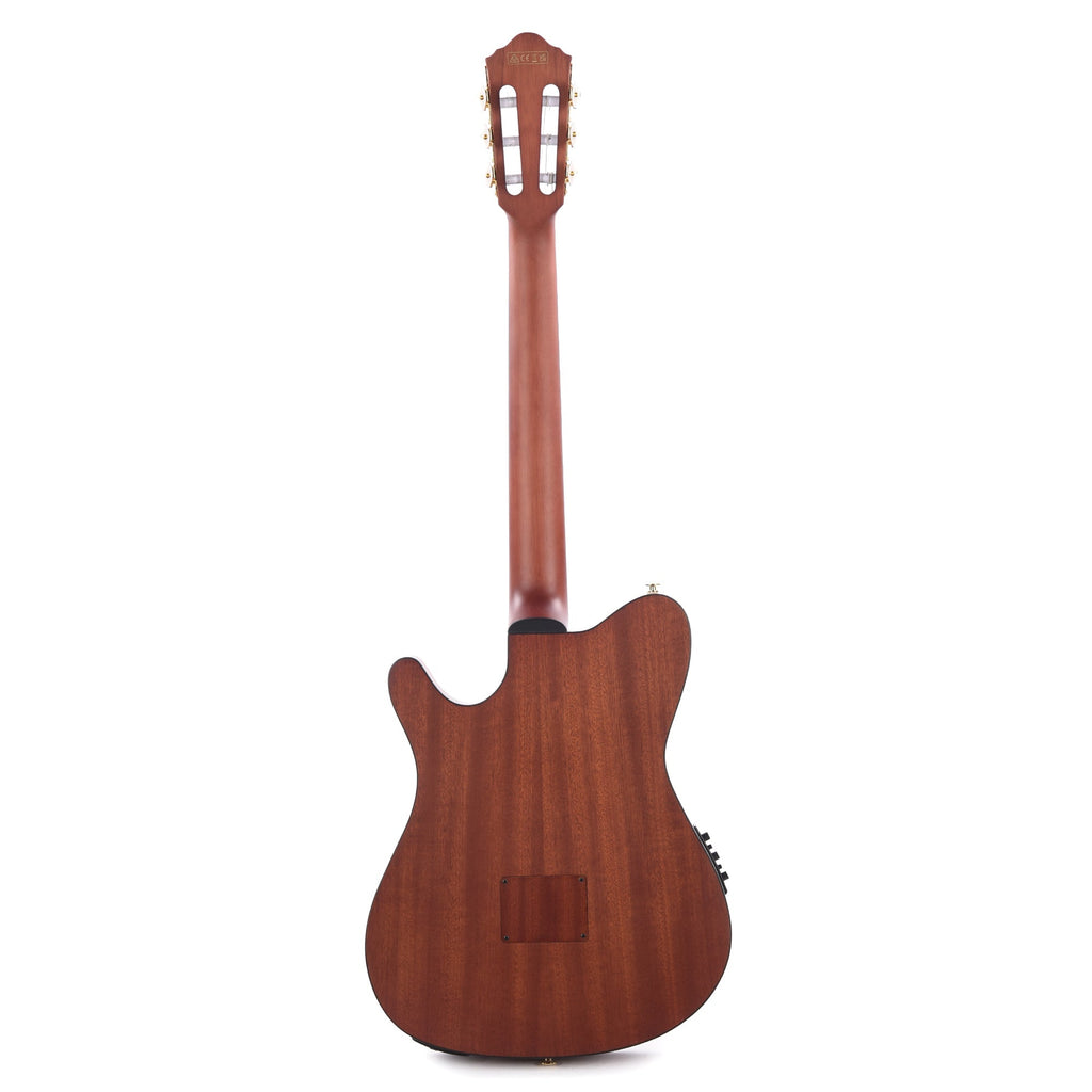 Ibanez FRH10NRGF Acoustic-Electric Guitar Rose Gold Metallic Flat - Angle 5 | MUSICTONER