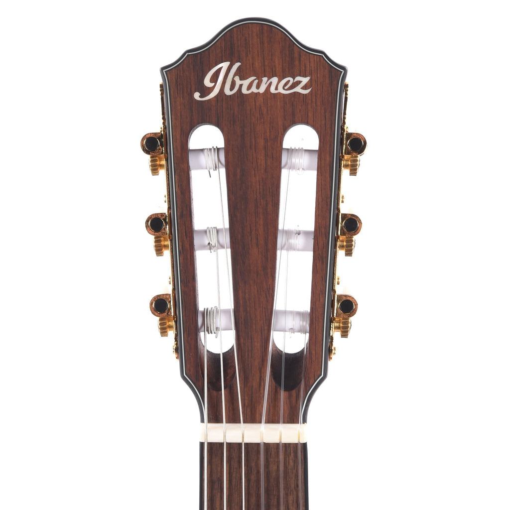 Ibanez FRH10NRGF Acoustic-Electric Guitar Rose Gold Metallic Flat - Angle 6 | MUSICTONER