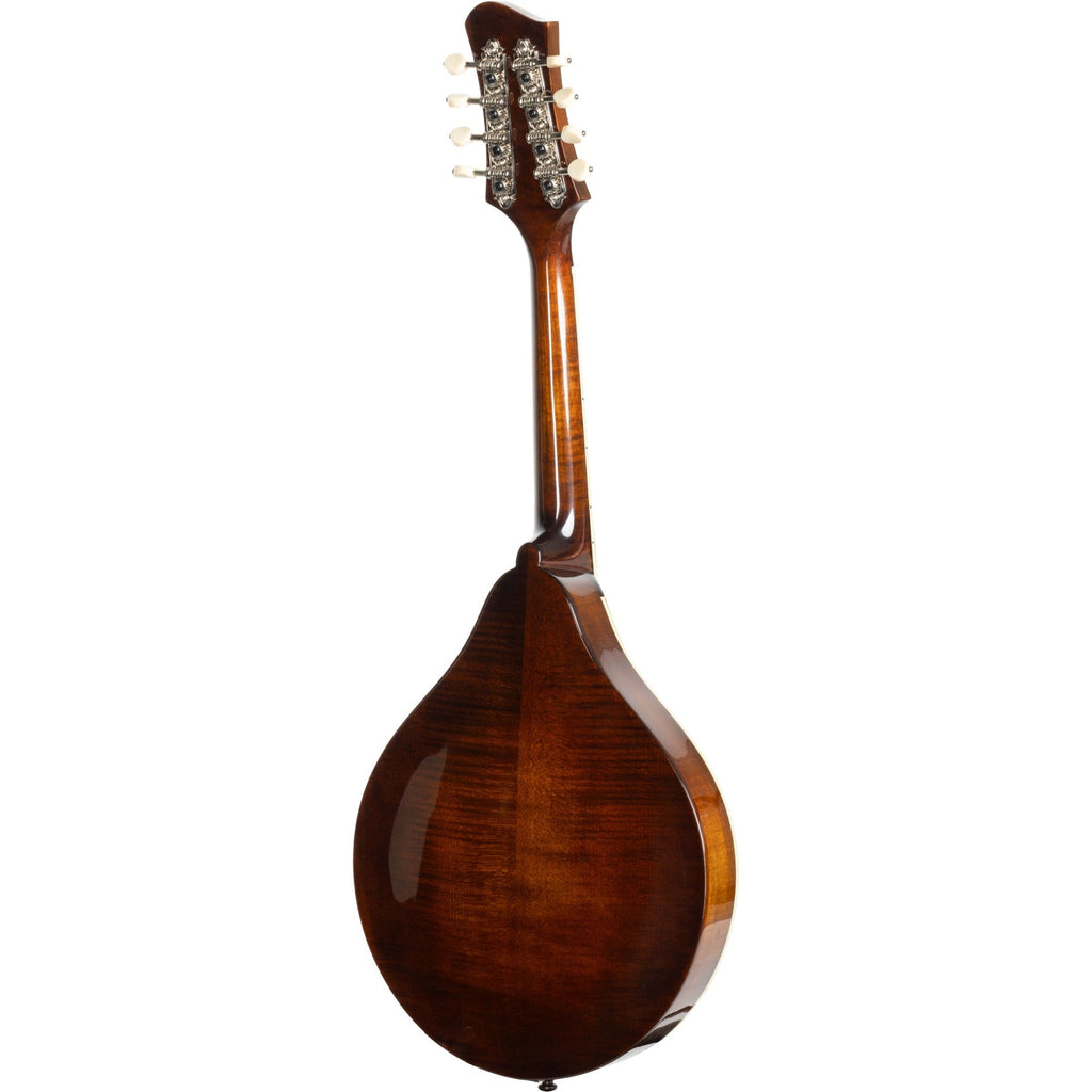 Eastman Limited Edition MD505 A-Style Mandolin - Black Top - View 7 | MusicMarket