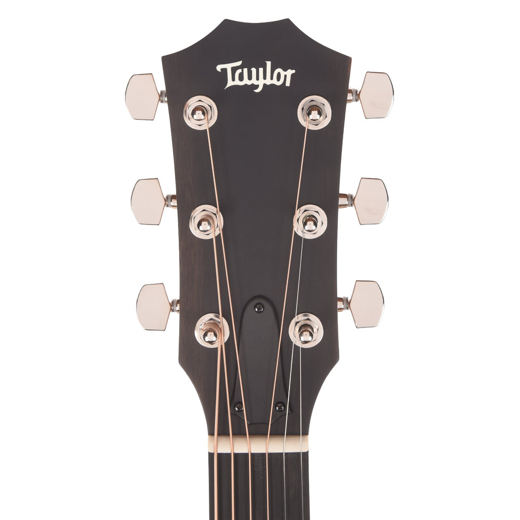 Taylor Next Generation Special Edition 414ce Studio Grand Auditorium Torrefied Sitka - Angle 6 | MUSICTONER
